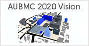 AUBMC 2020 Vision